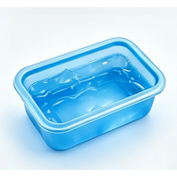 psrr--69 Reusable PlasticIce Pack Cooler Block